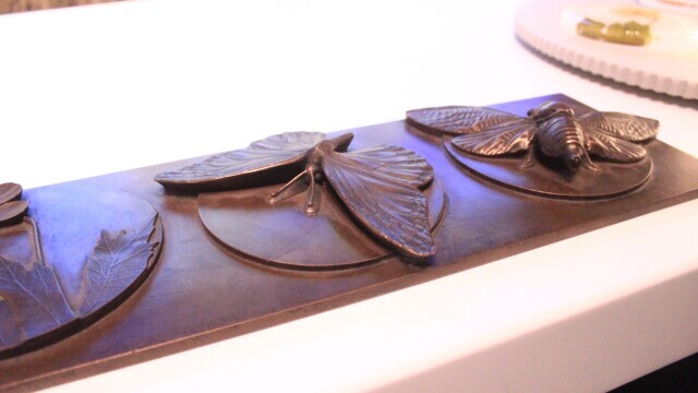 Tactile Model - Insects