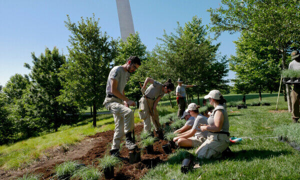 Americorps Planting