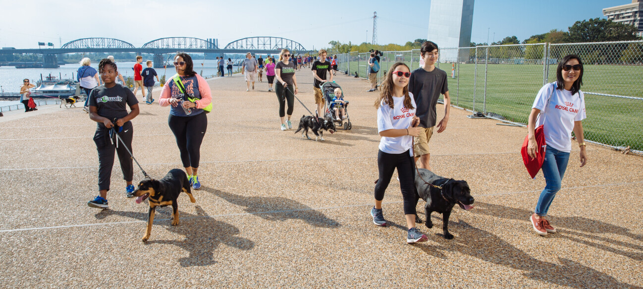  the Arch Park Grounds