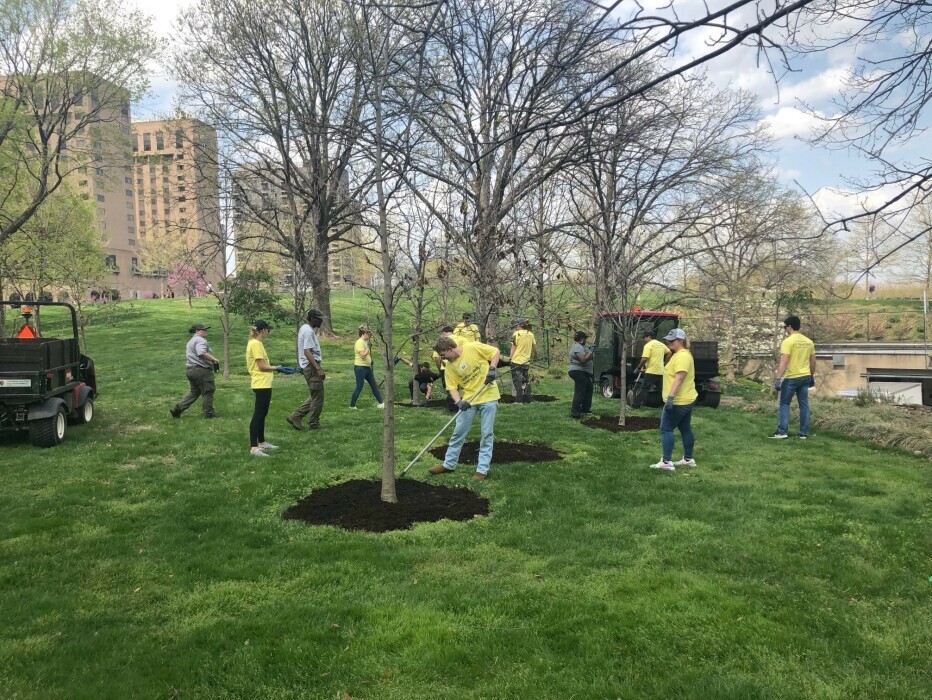 Corporate Volunteers