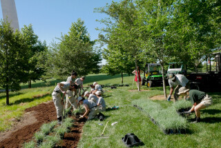 Volunteers planting